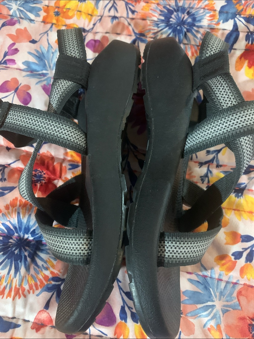 Chaco - Picture 2 of 8
